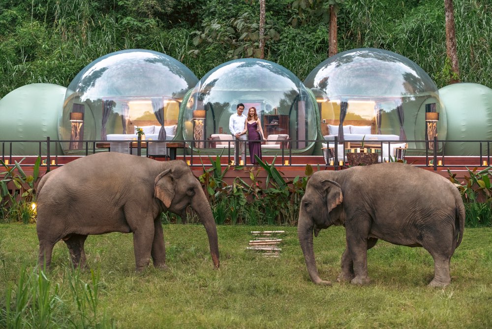 Anantara Golden Triangle Elephant Camp & Resort